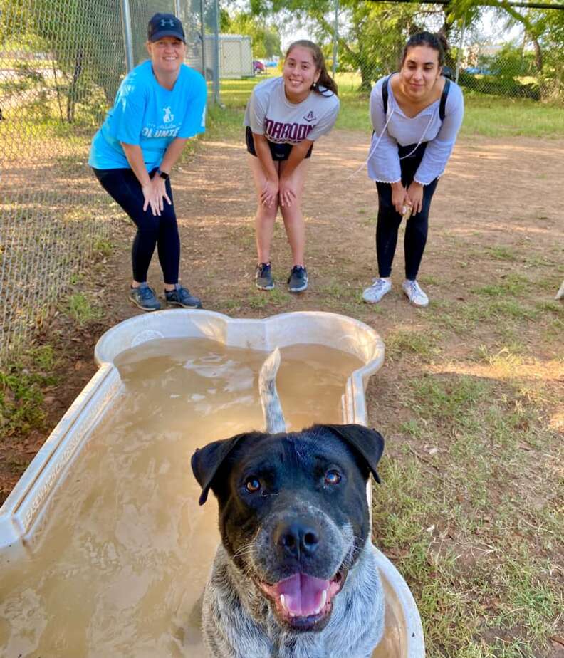 Shelter dog with his own kiddie pool