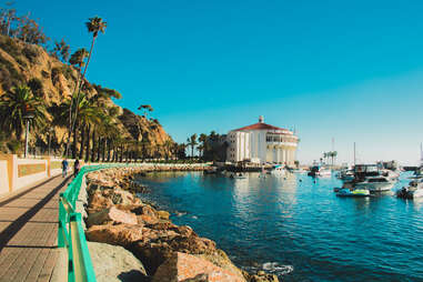 Catalina Island, California
