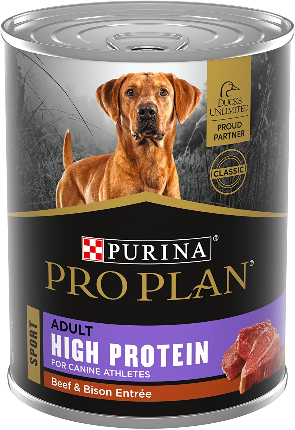 Dog food with outlet more protein