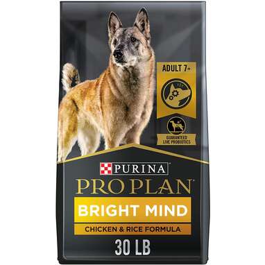 Best protein store based dog food