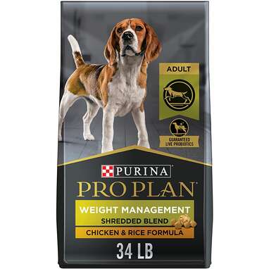 Best dry dog top food high protein