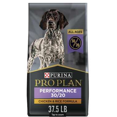 High Protein Dog Food: 4 Of The Best Options For Pets To Try - DodoWell ...