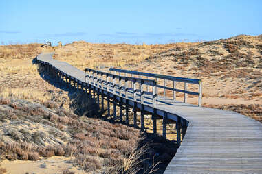 Plum Island Beach