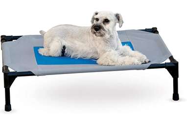 Best overall: K&H PET PRODUCTS Coolin’ Pet Cot Elevated Pet Bed