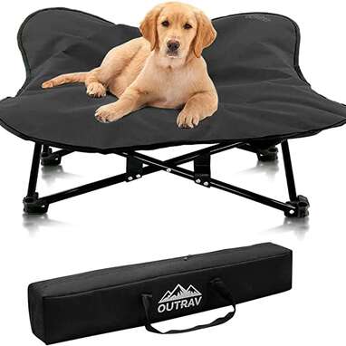 Best travel: Portable Elevated Dog Bed