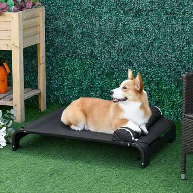 Best elevated bed with detachable pillow: PawHut Elevated Dog Bed w/ Removable Pillow