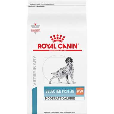 Hypoallergenic dog 2024 food canada