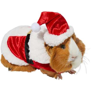 FRISCO Santa Claus Guinea Pig Costume
