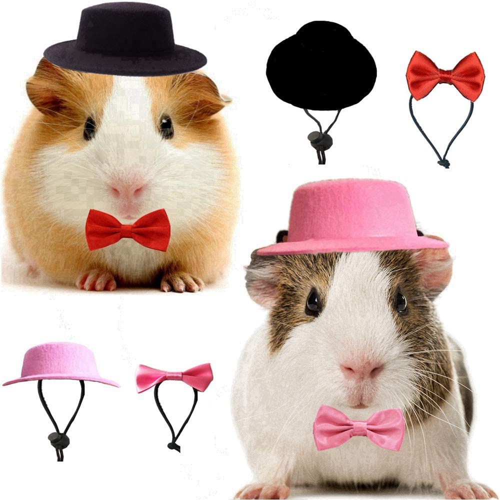 Guinea pig apparel hotsell