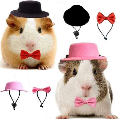 2 Pack Guinea Pig Hat and Bowtie