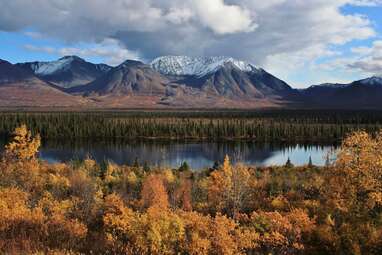 Alaskan Airbnb campsite near Denali