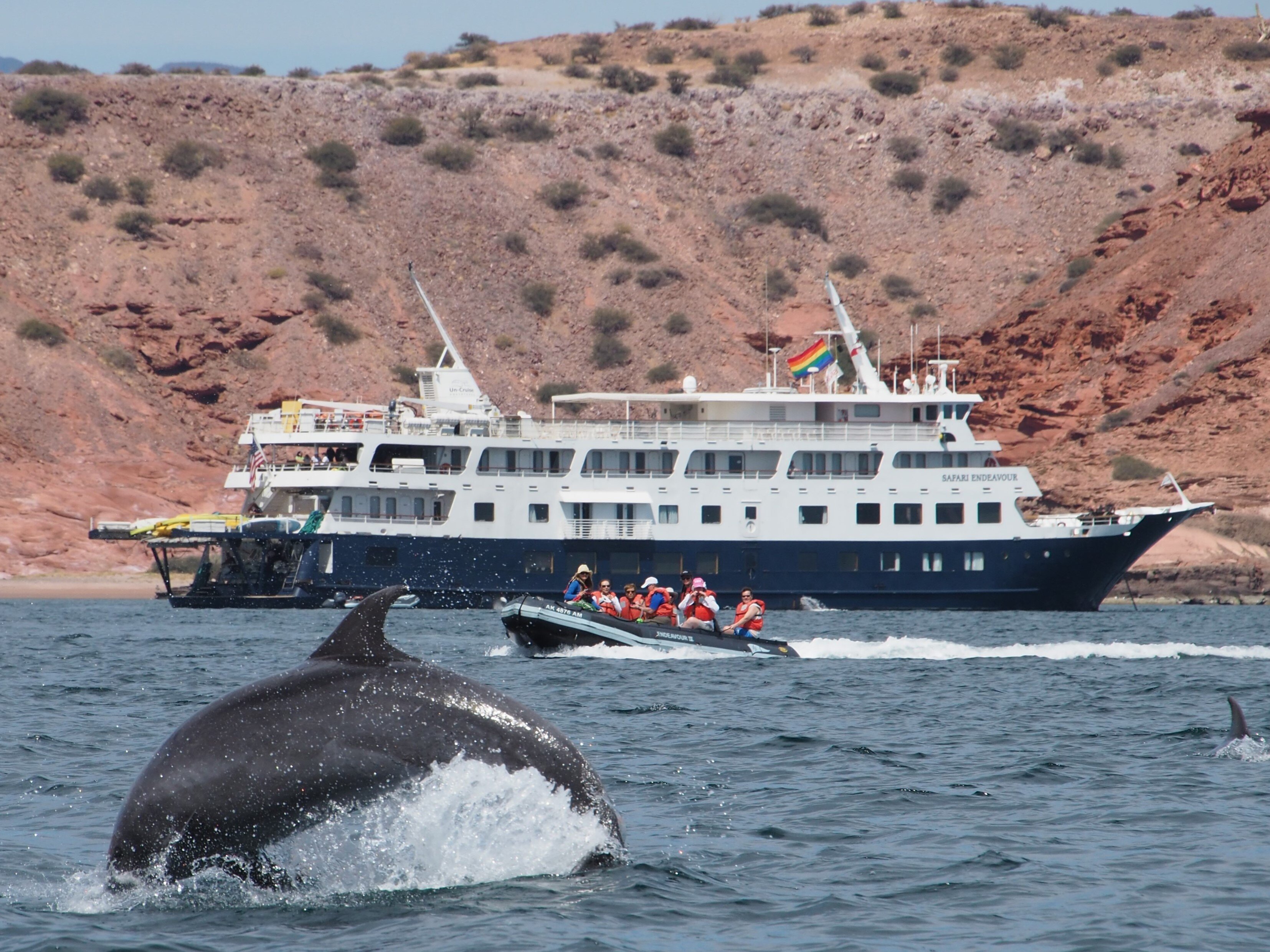 Meet the Most Popular Travel Company You Probably Didn’t Know Existed