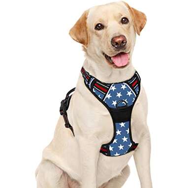 BarkBay Stars And Stripes No-Pull Dog Harness