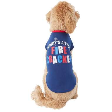 Patriotic dog clearance costumes