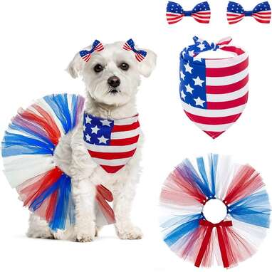 4th of 2025 july dog dress