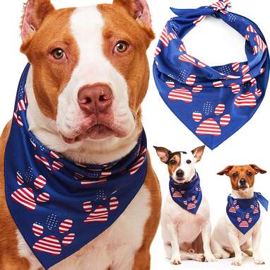 Patriotic Dog Leash Nylon Fabric Stars Stripes USA Flag 4th of July Puppy Gift 