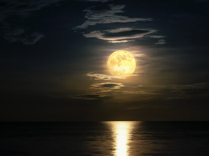 strawberry supermoon