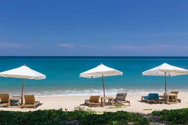 beach chairs and umbrellas lined up by the water