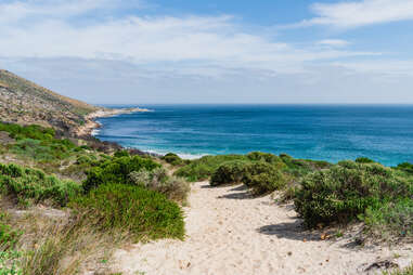 Sandy path to the water