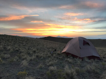 the best campsites to book this summer