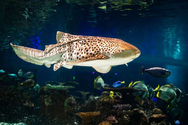 National Aquarium