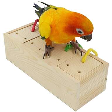 Best bird toys best sale