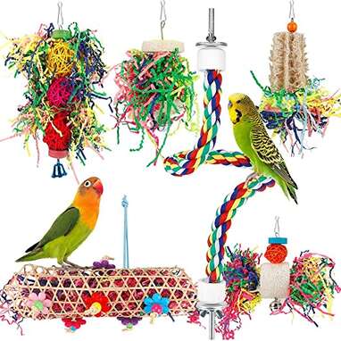 Bird Toys: The 6 Best Toys That Promote Your Bird's Brain Development -  DodoWell - The Dodo
