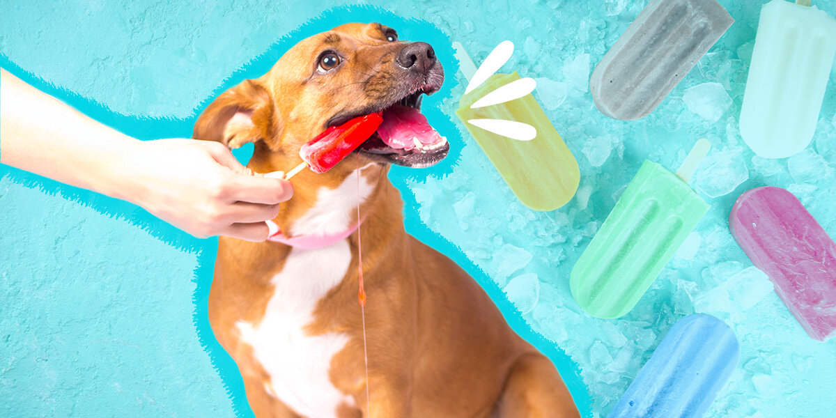 Dog Popsicles: A Perfect Summer Treat