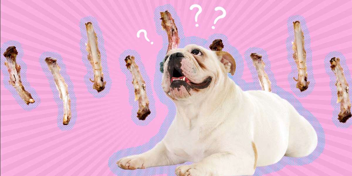 are baby back rib bones safe for dogs