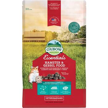 Hamster Food Healthy Options From Pellets To Fresh Vegetables