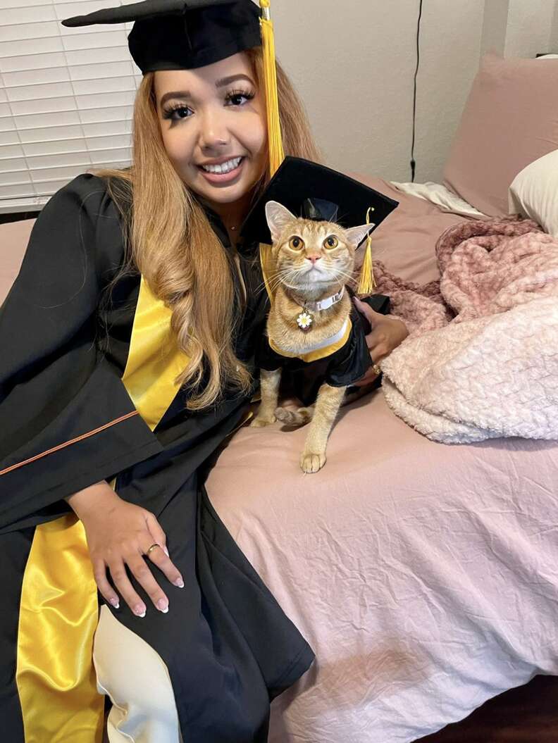 cat wears graduation cap and gown