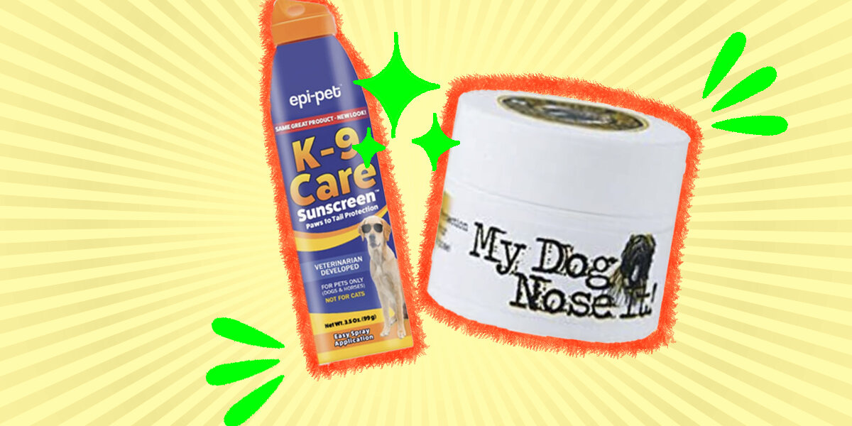 Dog Sunscreen Best 4 Options To Protect Your Pup From The Sun