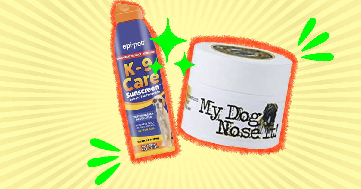 Epi pet hot sale sunscreen