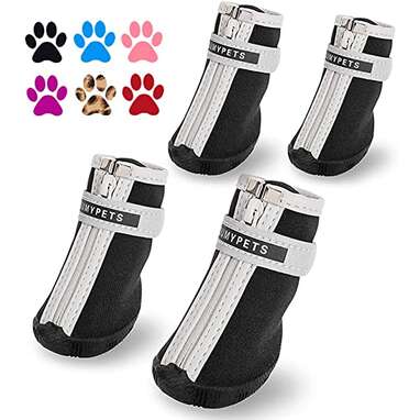 Best summer shoes for small dogs: QUMY Dog Shoes for Small Dogs