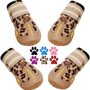 Best overall dog shoes for summer: QUMY Dog Boots Waterproof Shoes for Dogs