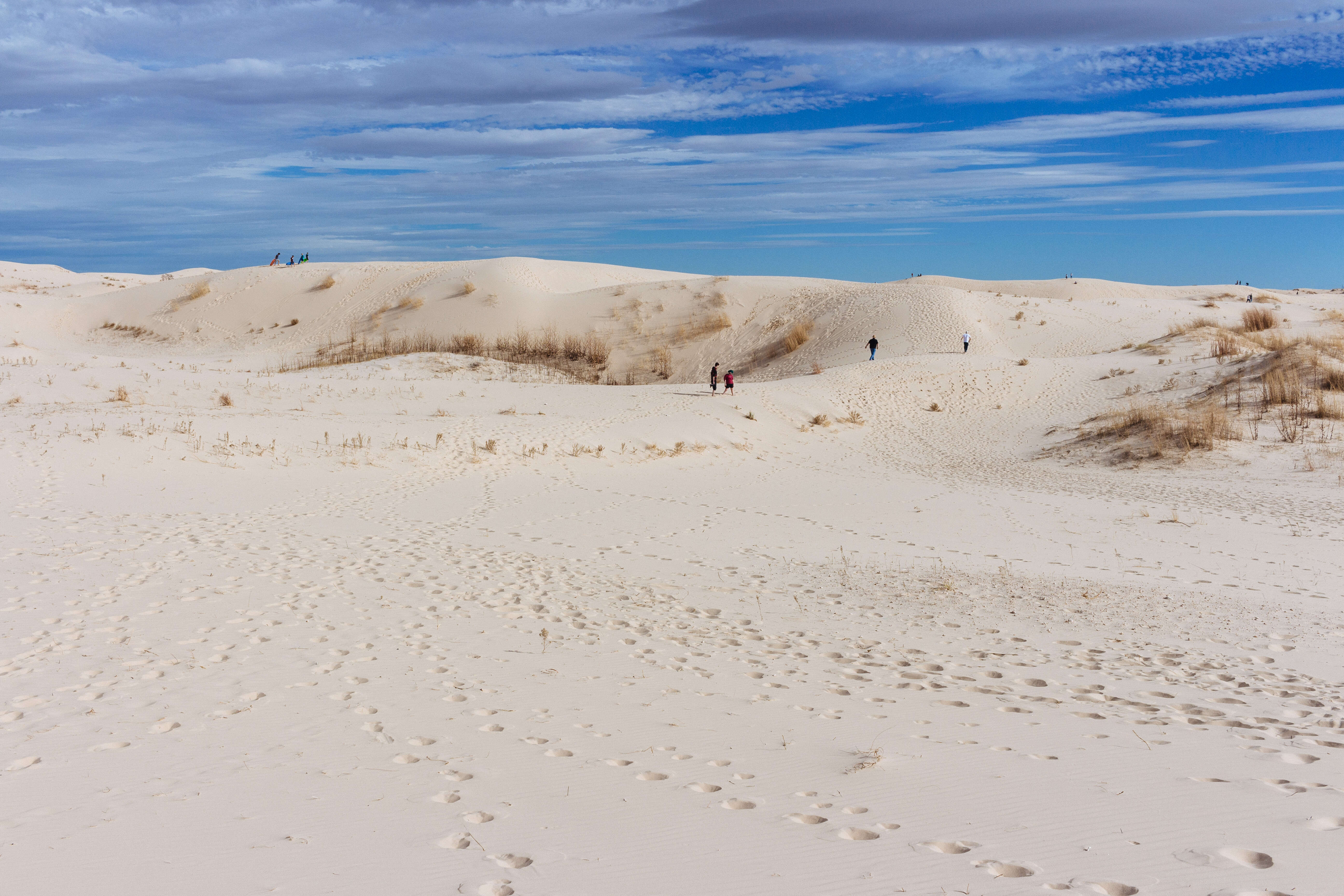 Monahans Sandhills State Park, Texas