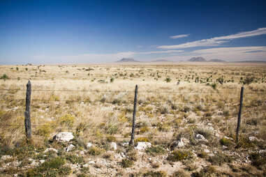 Chihuahuan Desert, Texas