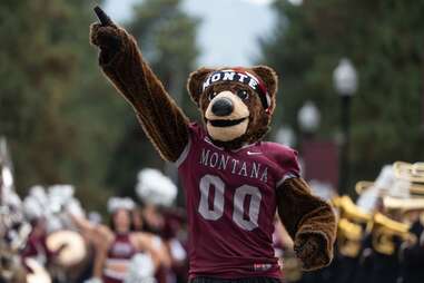 montana grizzlies mascot, missoula