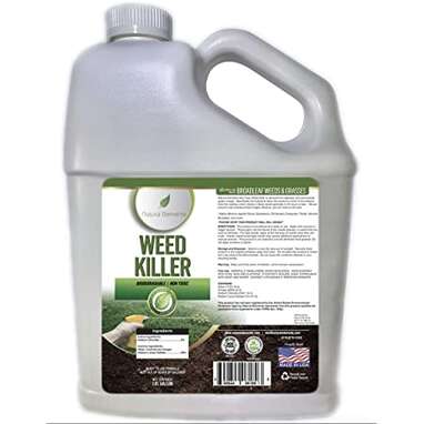 Best vinegar-only formula: Natural Elements Weed Killer