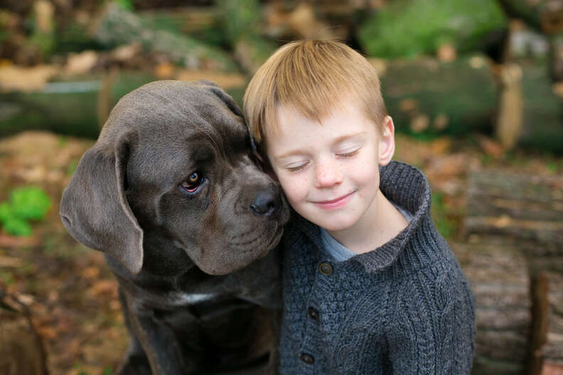 Dogs Have A Calming Effect on Children