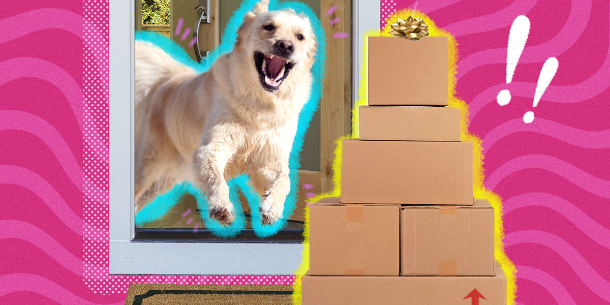 Chewy’s Blue Box Event The Best Deals On Pet Treats, Toys And More