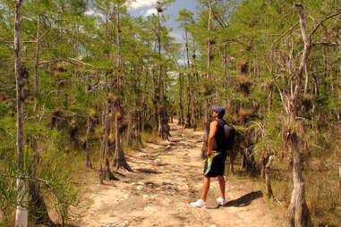 BIG CYPRESS NATIONAL PRESERVE