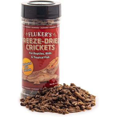 Crickets: Freeze-Dried Crickets