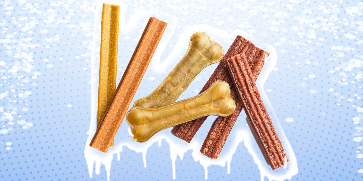 Easy Frozen Dog Treats Recipe