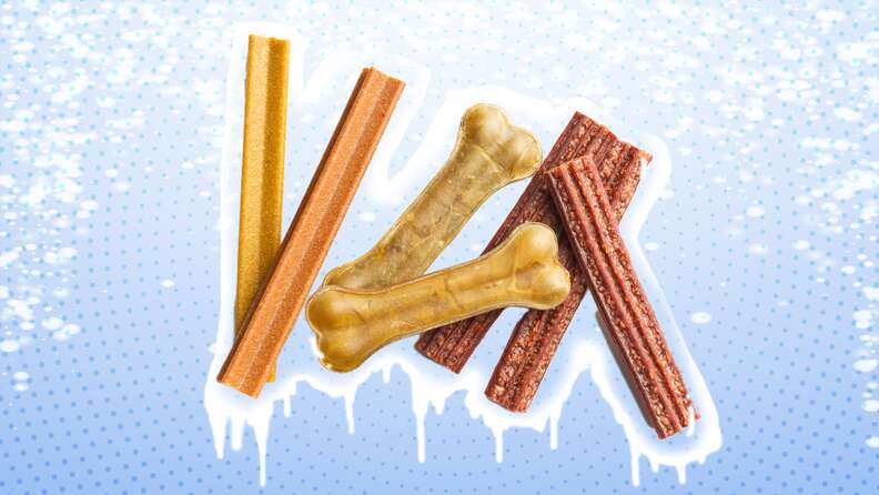 The Benefits of Frozen Dog Treats: Here Are a Few Recipes To Keep