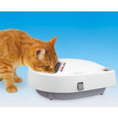 CAT MATE C300 Automatic Dog & Cat Feeder, 3-cup