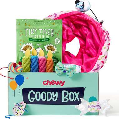 Goody box birthday toys 2025 & treats for cats