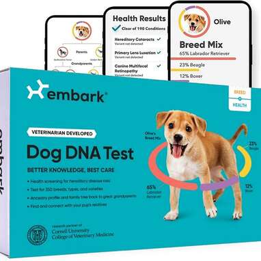 EMBARK Breed Identification & Health Condition Identification DNA Test for Dogs