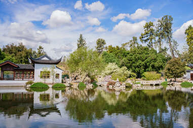 Huntington Library, Art Museum, and Botanical Gardens