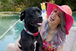 whitney cummings and her dog by the pool